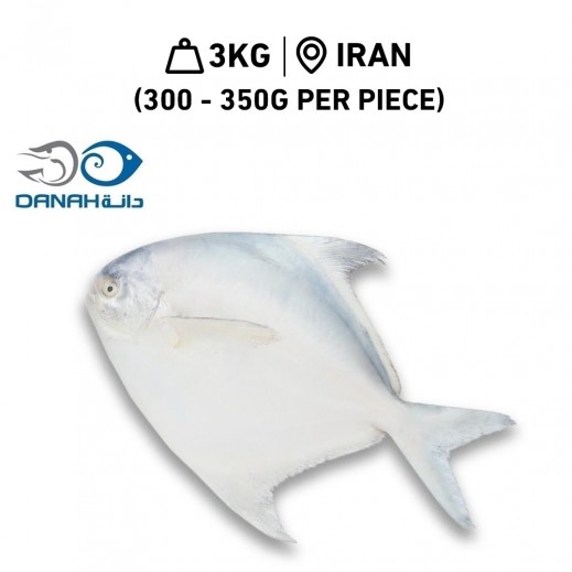 Danah Fresh Iranian Zubaidi Medium Fish (300 - 350 g Per Piece) 3 kg - delivered by Danah Fish within 6 working hours