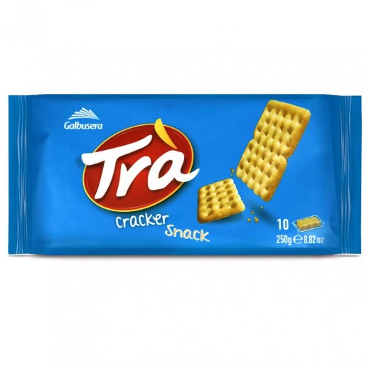 Galbusera Tra Cracker Salted Snack 10 x 25 g