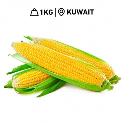 Fresh Kuwaiti Sweet Corn (1 kg Approx.)