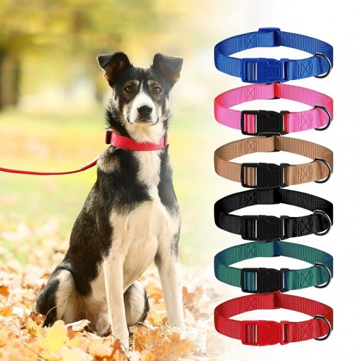 Width Nylon Buckle Collar 