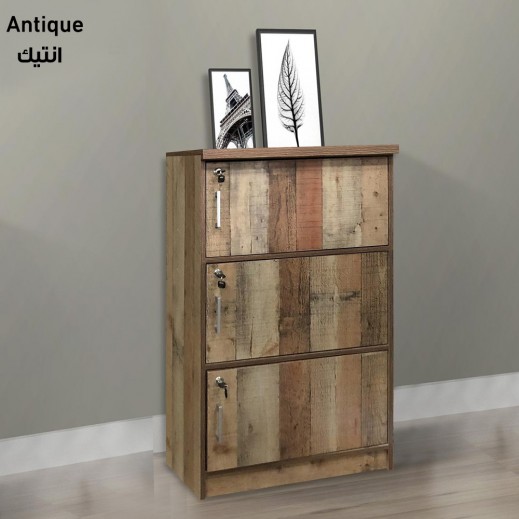 Buy 3Door Wood With Lock 60x40x120 cm delivered by Roca