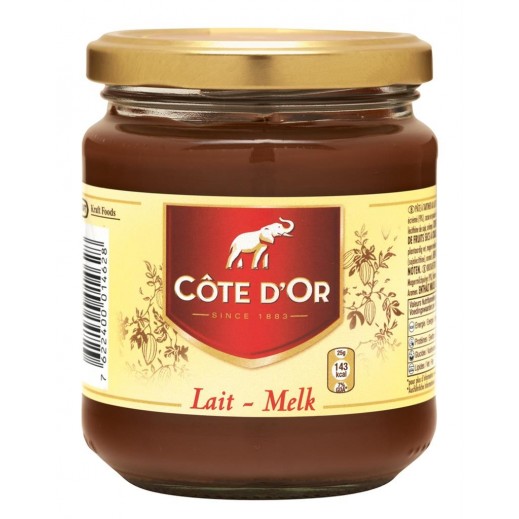 Buy Cote D'Or Milk Chocolate Spread 300 g توصيل