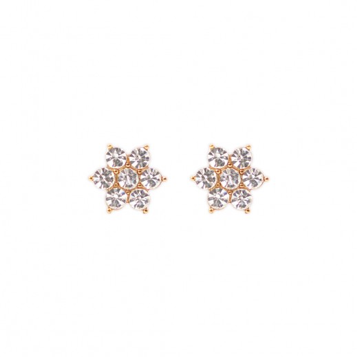 Lustrous Earrings - 166 - delivered by The Pharmacy - within 2 Hours