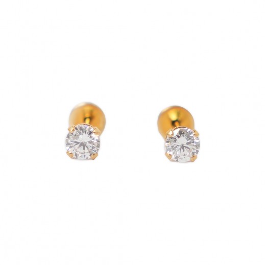 Lustrous Embellished Stud Earrings 156 - delivered by The Pharmacy - within 2 Hours