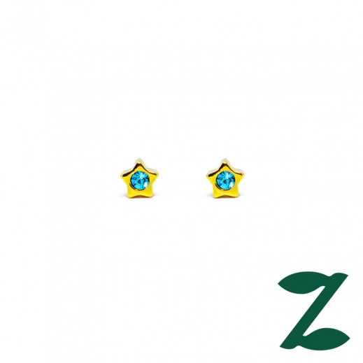 Lustrous Embellished Stud Earrings 174 - delivered by Pharmazone Pharmacy - within 2 Hours