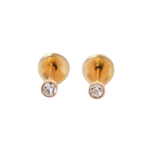 Lustrous Embellished Stud Earrings 167 - delivered by The Pharmacy - within 2 Hours