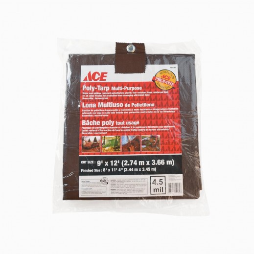 ACE Poly Trap Brown And Green 9 x 12 ft - delivered by Taw9eel within 1 working day 