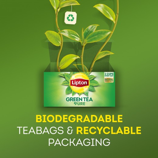 Linton Tea Buy Lipton Mint Green Tea 50 Tea bags | توصيل Taw9eel.com