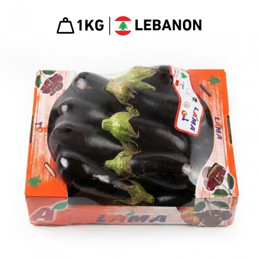 Lama Fresh Lebanese Eggplant 1kg Approx.