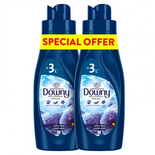 Downy Valley Dew Concentrate Fabric Conditioner 2 x 1 L 