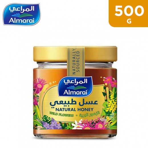 Almarai Polyflora Natural Honey 500 g