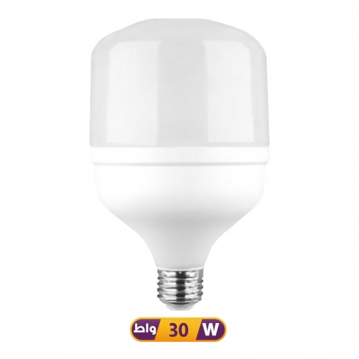 Nice Led Bulb 30W White