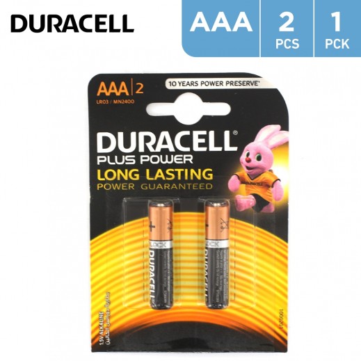 Duracell 1.5 V AAA Alkaline Batteries - 2 Packs 