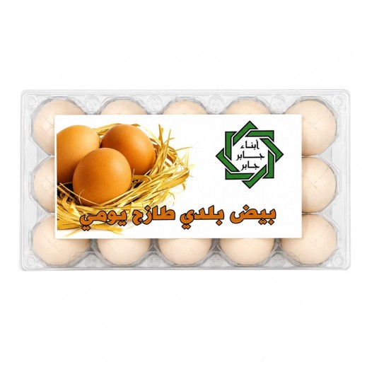 Jaber Fresh Baladi Eggs 15 Pieces