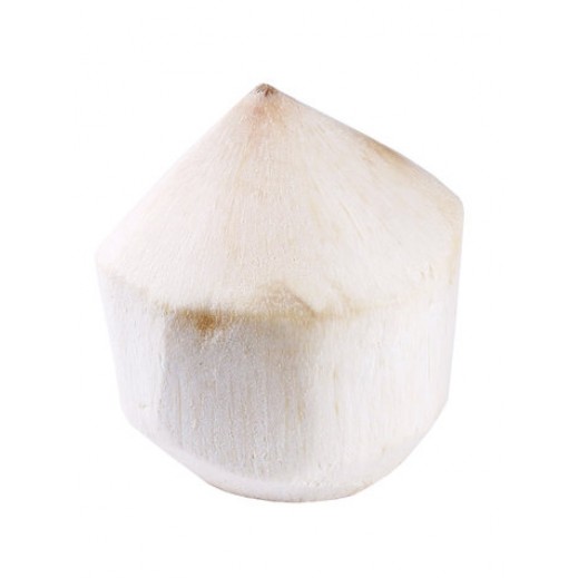 Buy Fresh Thailand Tender Coconut Per Piece | توصيل Taw9eel.com