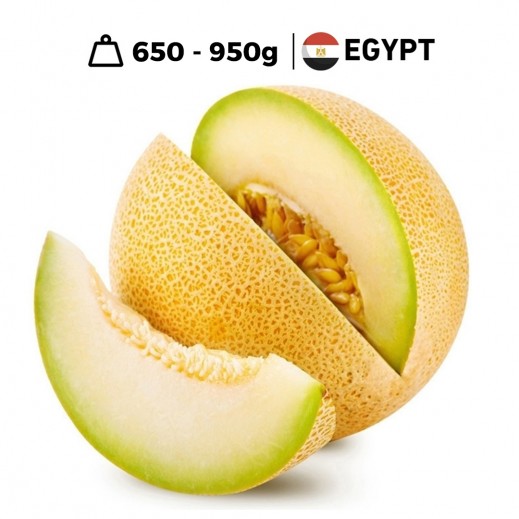 Fresh Egyptian Sweet Melon 650 - 950g Approx - delivered by Taw9eel Fast