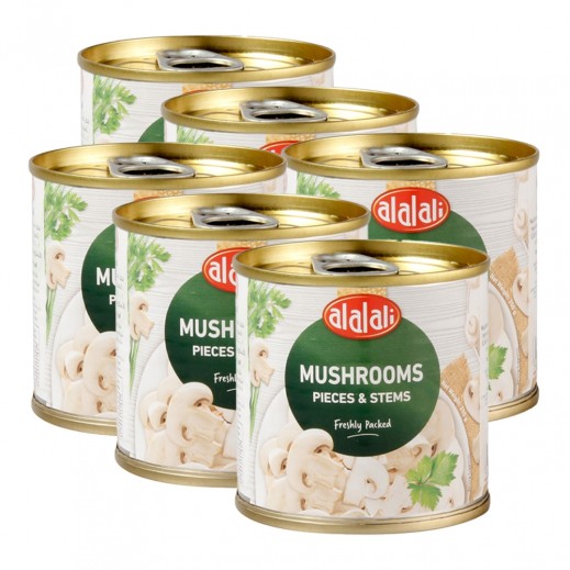 Al Alali Mushrooms Pieces & Stems 6 x 200 g