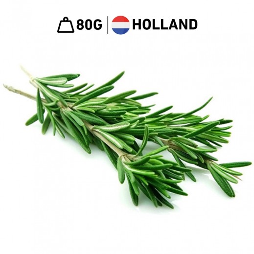 Holland Rosemary (80 g Approx)