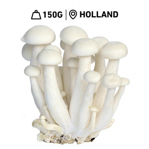 Fresh Dutch White Shimeji Mushroom Pack (150 g) - delivered by Taw9eel Fast