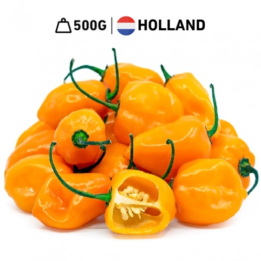 Fresh Holland Chili Habanero Yellow  (500 g Approx.) - delivered by Taw9eel Fast