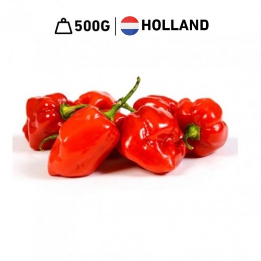 Fresh Holland Red Chili Habanero (500 g Approx.)