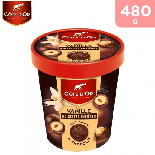 Cote D'Or Glace Whole Hazelnut Vanilla Ice Cream Pint 480 ml