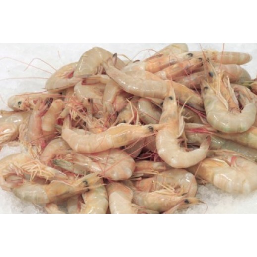 Fresh Shrimp (Kuwaiti) Large 1 kg