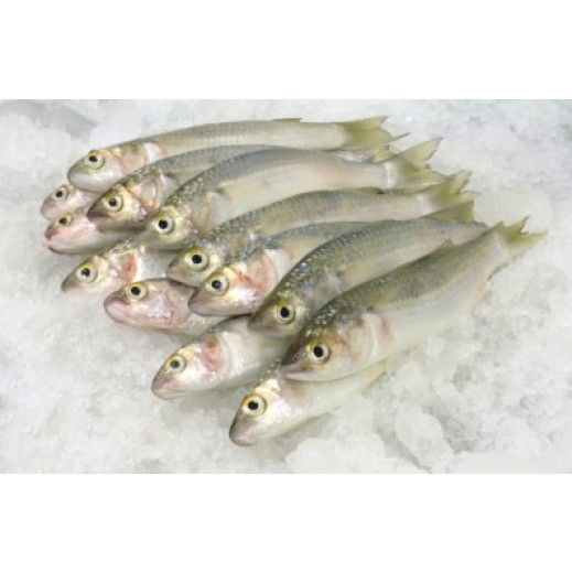 Fresh Maid Fish 1 kg