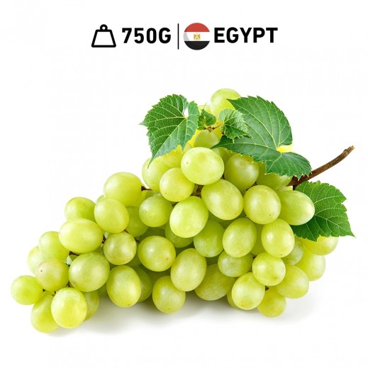 Fresh Egyptian White Grapes 750 g Approx. - delivered by Taw9eel Fast