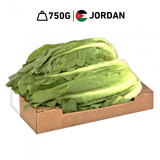 Fresh Jordanian Romaine Lettuce Box 750 g Approx.