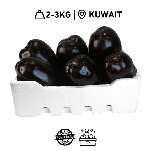Fresh Kuwaiti Eggplant Carton (2 - 3 kg Approx.) - delivered by Taw9eel Fast