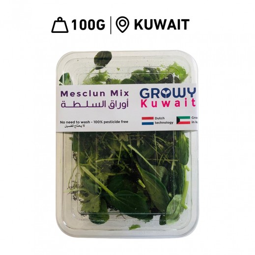 Fresh Mesclun Mix 100 g