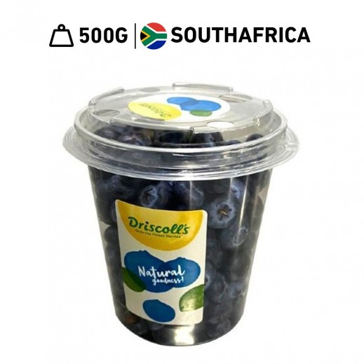 Fresh South African Blueberry 500 g