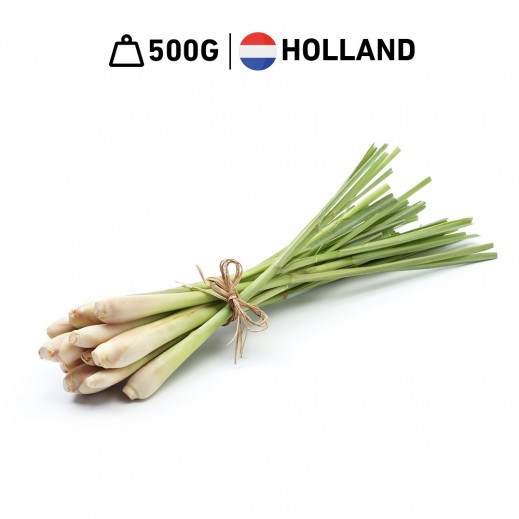Fresh Dutch Lemon grass (500 g Approx) - delivered by Taw9eel Fast