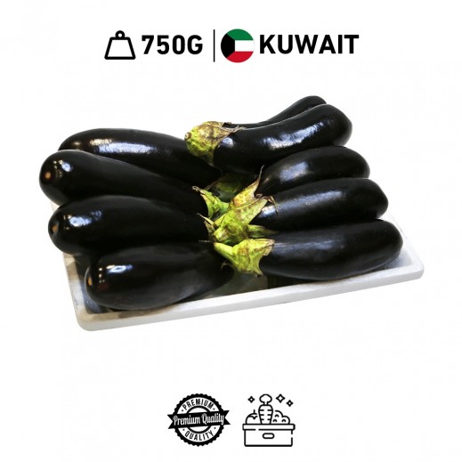 Hydro Fresh Kuwaiti Long Eggplant (750 g Approx.)