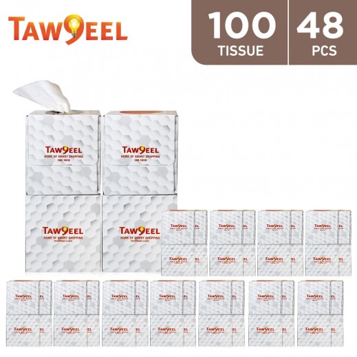 Taw9eel Essentials Cube Facial Tissues 100 x 2 Ply (12 x 4 Boxes)