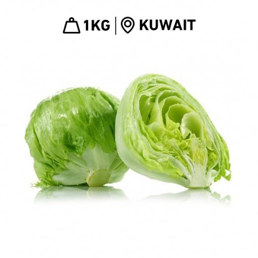 Buy Fresh Kuwaiti Iceberg Lettuce (1 kg Approx) توصيل