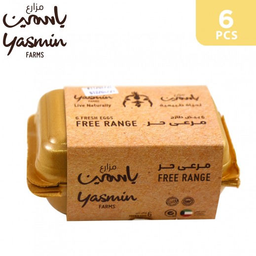 Yasmin Farms Free Range Natural Feed Brown Eggs (6 pcs) - delivered by Taw9eel Fast