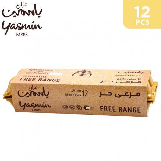 Yasmin Farms Free Range Natural Feed Brown Eggs ( 12 pcs) - delivered by Taw9eel Fast