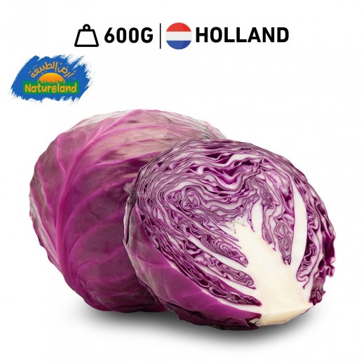 Natureland Fresh Organic Red Cabbage 600 g - delivered by Taw9eel Fast