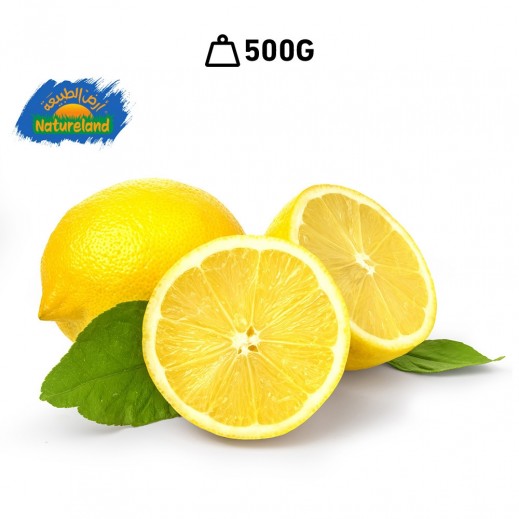 Natureland Fresh Lemon (500 g Approx.) - delivered by Taw9eel Fast