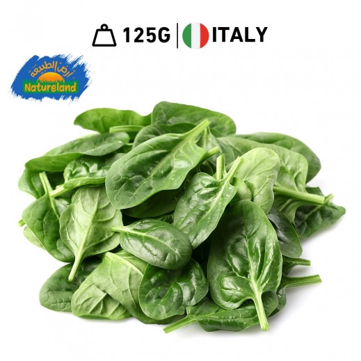 Natureland Fresh Organic Baby Spinach Packet 125 g