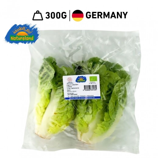 Natureland Fresh Mini Romaine 300 g - delivered by Taw9eel Fast
