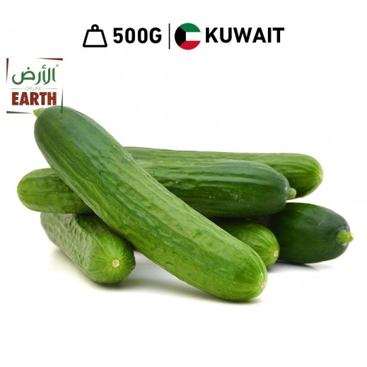 Earth Organic Fresh Cucumber Tray 500 g