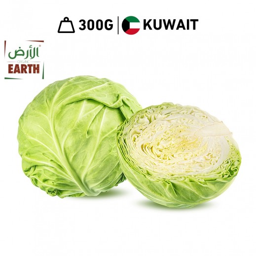 Earth Organic Fresh Iceberg Lettuce 300 g