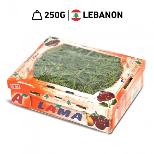 Lama Lebanese Baby Thyme Box 250 g Approx.