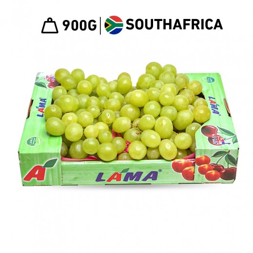 Lama South African White Grapes Box( 900 g Approx )