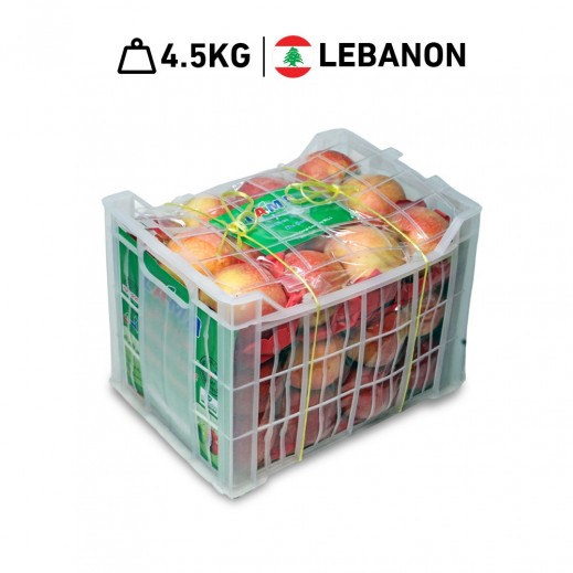 Lama Lebanese Apple Navel Basket 4.500 kg Approx