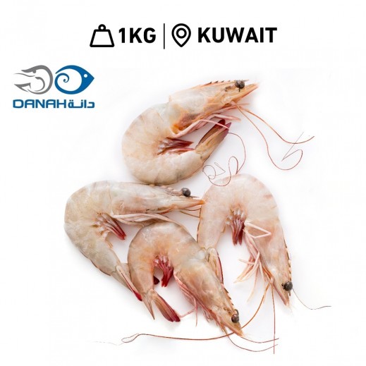 Fresh Medium Mixed Kuwaiti Shrimp 1 kg - delivered by Danah Fish within 6 working hours