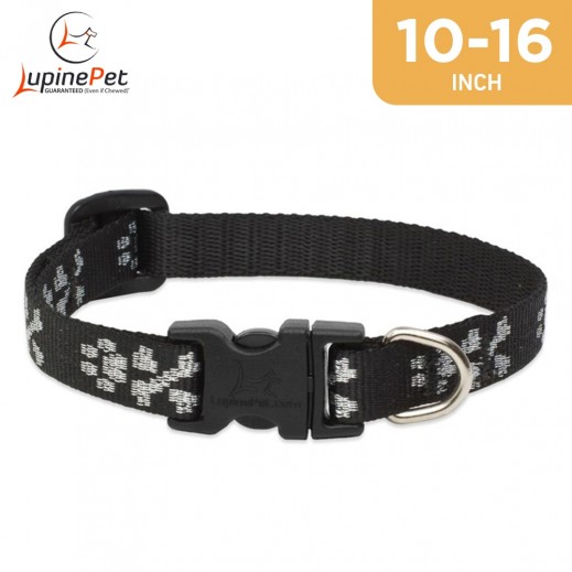 Lupine Pet Original Designs Adjustable Dog Collar Bling Bonz 10 - 16 - delivered by Petzone within 4 working hours